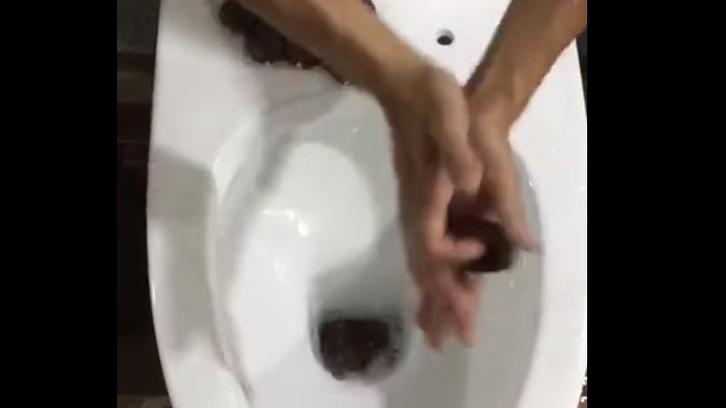 Washdown flushing test-excrement